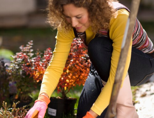 Schmerzen in der Schulter, beispielsweise durch Gartenarbeit